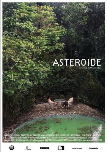 Астероид (2014)