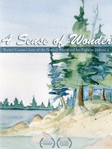 A Sense of Wonder (2008)